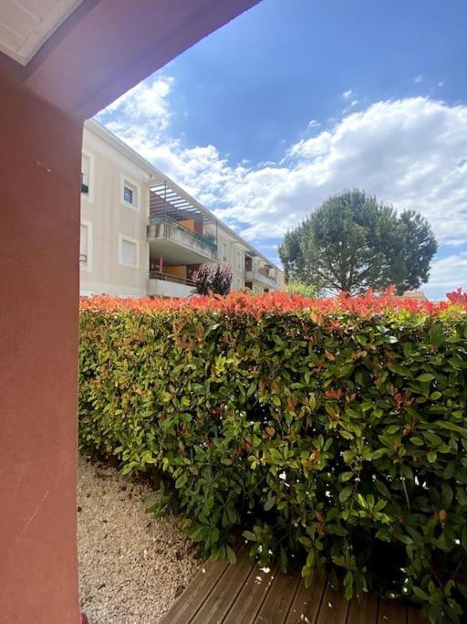Lou Cameou Marseillan (Herault) Eksteriør billede