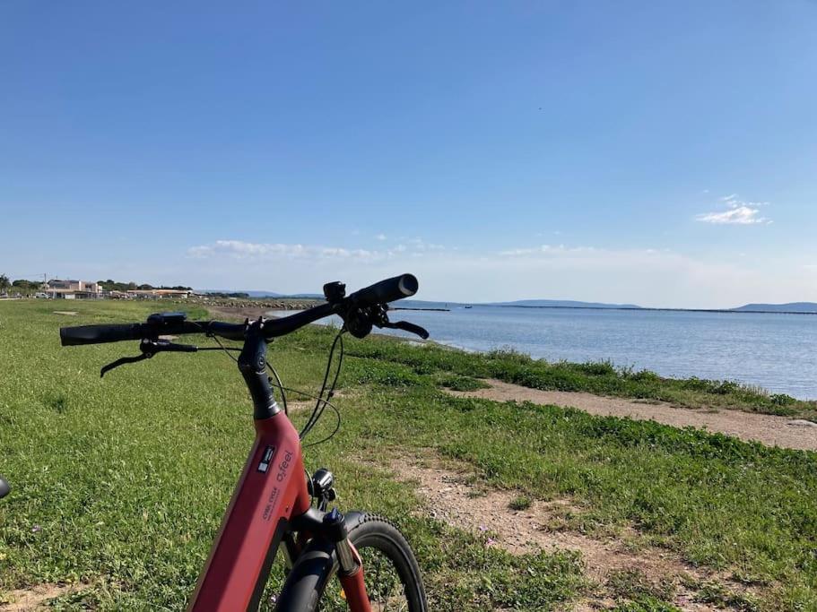 Lou Cameou Marseillan (Herault) Eksteriør billede